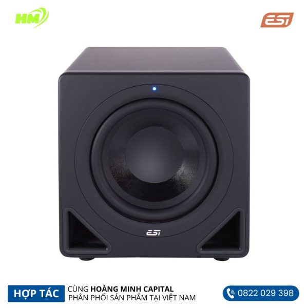 Loa Monitoring Subwoofer ESI AKTIV 10S
