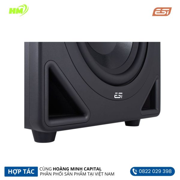 Loa Monitoring Subwoofer ESI AKTIV 10S - Hình ảnh 3