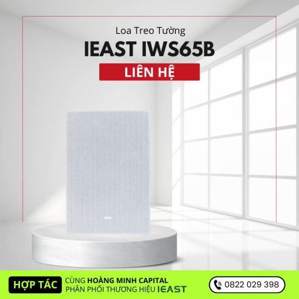 Loa Treo Tường iEAST iWS65B